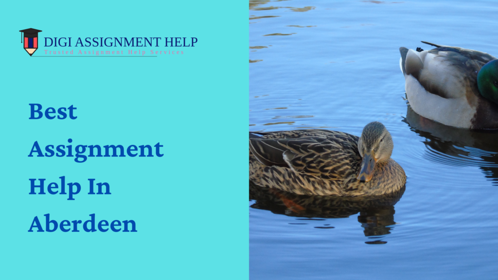 assignment help aberdeen