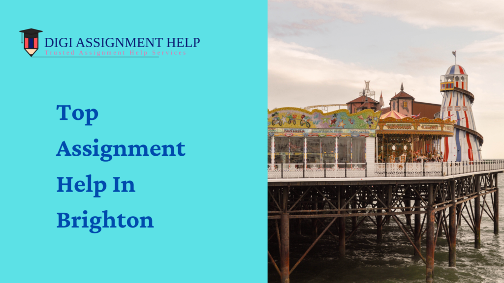 assignment help brighton