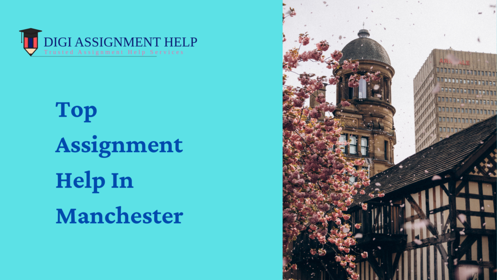 assignment help manchester