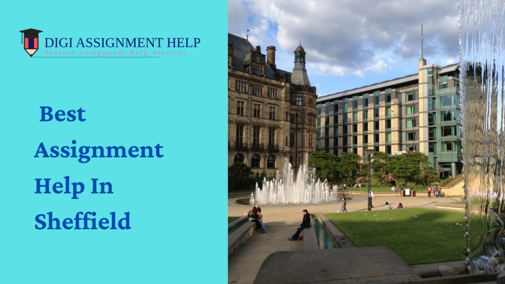 assignment help sheffield