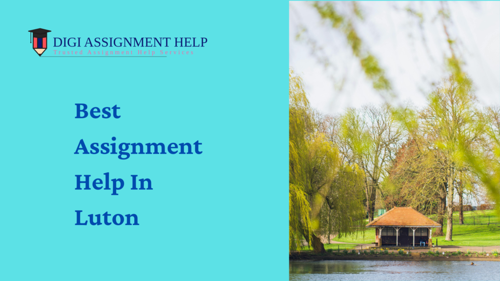 assignment help luton 